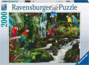 Puzzle 2000 pz - Il paradiso dei pappagalli - 17111 8
