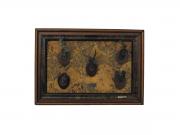 Muela Silverware FRAMEWORK 5 HUNTING TROPHIES cm 23x16