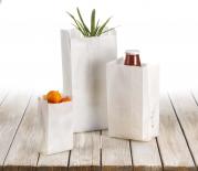 SACCHETTI CARTA KRAFT BIANCHI PER ALIMENTI 12x30 (10Kg)