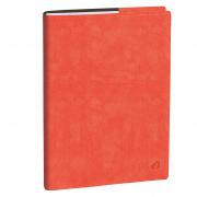 Agenda del Professore 21x27cm Roma rosa corallo 2026 Quo Vadis