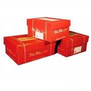 CARTA IN MODULO CONTINUO 24X11\'\' 60GR (2000FG) LF Piste Staccabili