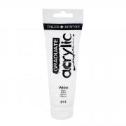 Colore acrilico fine Graduate tubo 120 ml bianco Daler Rowney