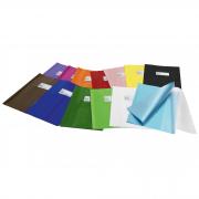 Coprimaxi PVC lucido coprente GreenLine 21x30cm c/alette blu RiPlast