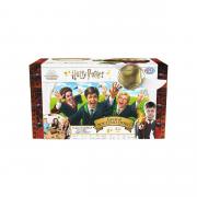 GIOCO IN SCATOLA CACCIA AL BOCCINO D'ORO HARRY POTTER