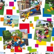 CARTA REGALO WALT DISNEY MICKEY 70X100