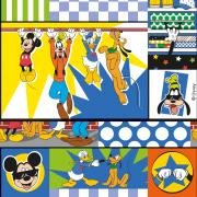 CARTA REGALO WALT DISNEY MICKEY 70X100
