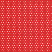 CARTA REGALO SADOCH 70x100 - ECOCARTA GRAPHIC ROSSA CON POIS BIANCHI