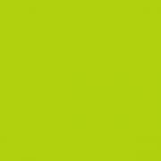 CARTA REGALO SADOCH 70x100 - RASO TUTTOCOLORE LUCIDO VERDE CHIARO