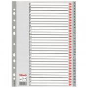 Separatore in PPL grigio numerico 1-31 f.to A4 ESSELTE